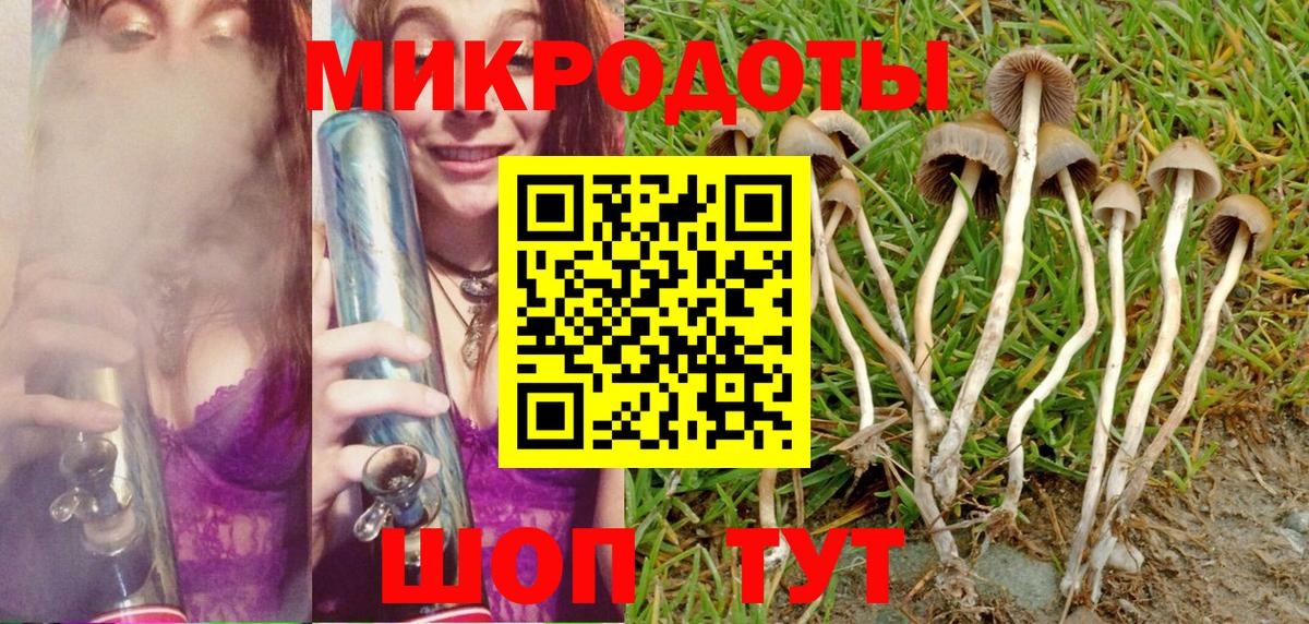 Боровичи  Галлюциногенные грибы мицелий  Галлюциногенные грибы MAGIC MUSHROOMS  Вход с VPN 